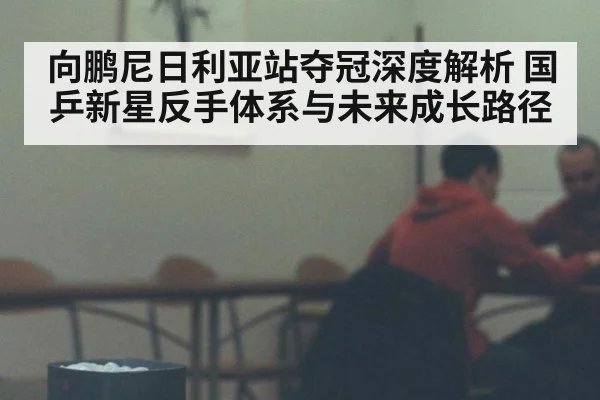 向鹏尼日利亚站夺冠深度解析 国乒新星反手体系与未来成长路径